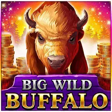 Play Big Wild Buffalo Pokiesurf casino